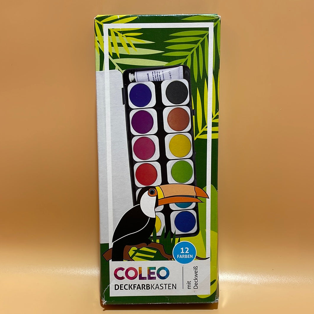 Color Deckfarbkasten 12 Farben inkl.1 Tube Deckweiß