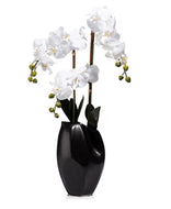 ABELLA Flora künstliche Orchidee schwarzer Designtopf Höhe ca. 75cm